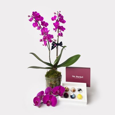 Mother's Day Bundle of Love Orchid Set Mr Bucket BonBons