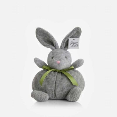 Bunny-Soft-Toy-Gift-Delivery-Singapore