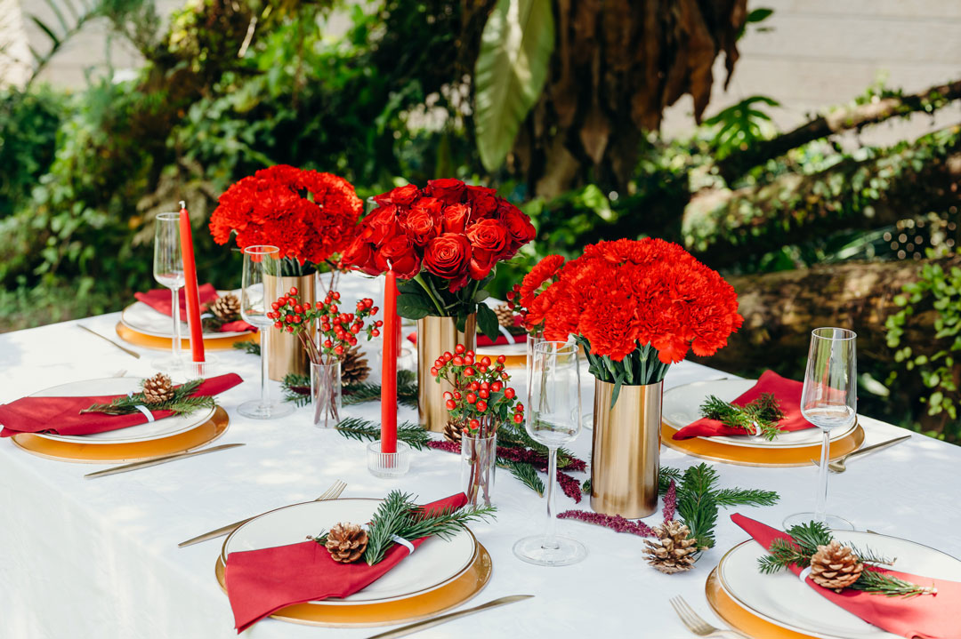 Carnation: January Birth Flower