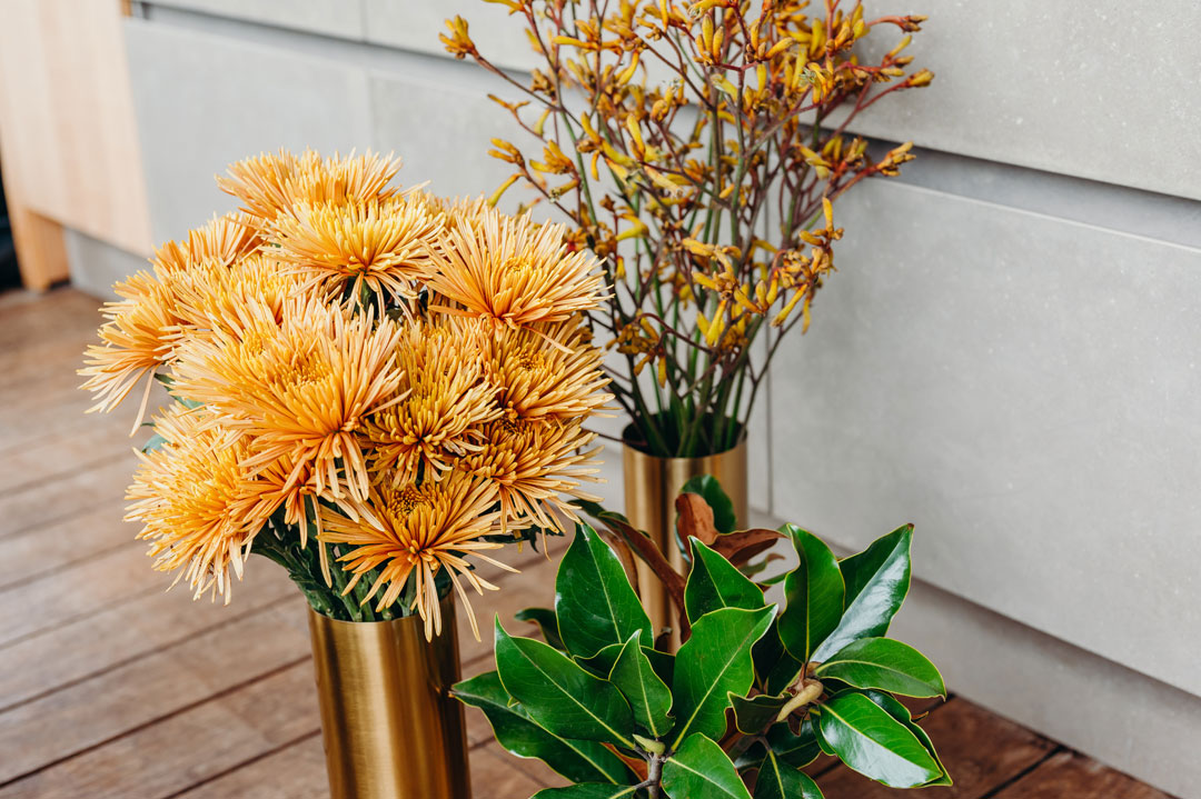 Chrysanthemum
