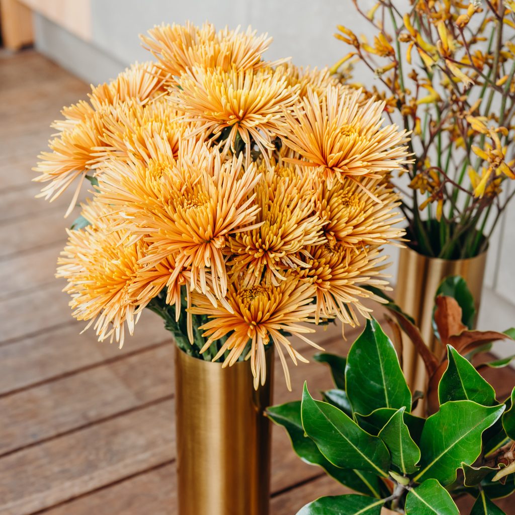 Chrysanthemums