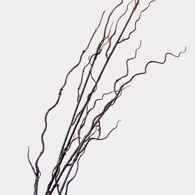 Curly Twig Artificial Faux Flowers