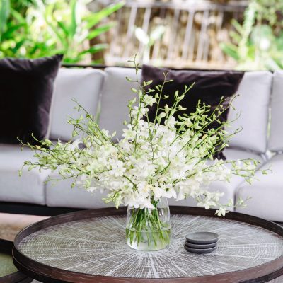 DENDROBIUM WHITE ORCHIDS