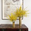 Golden Ramsey Yellow Orchids Single Variety