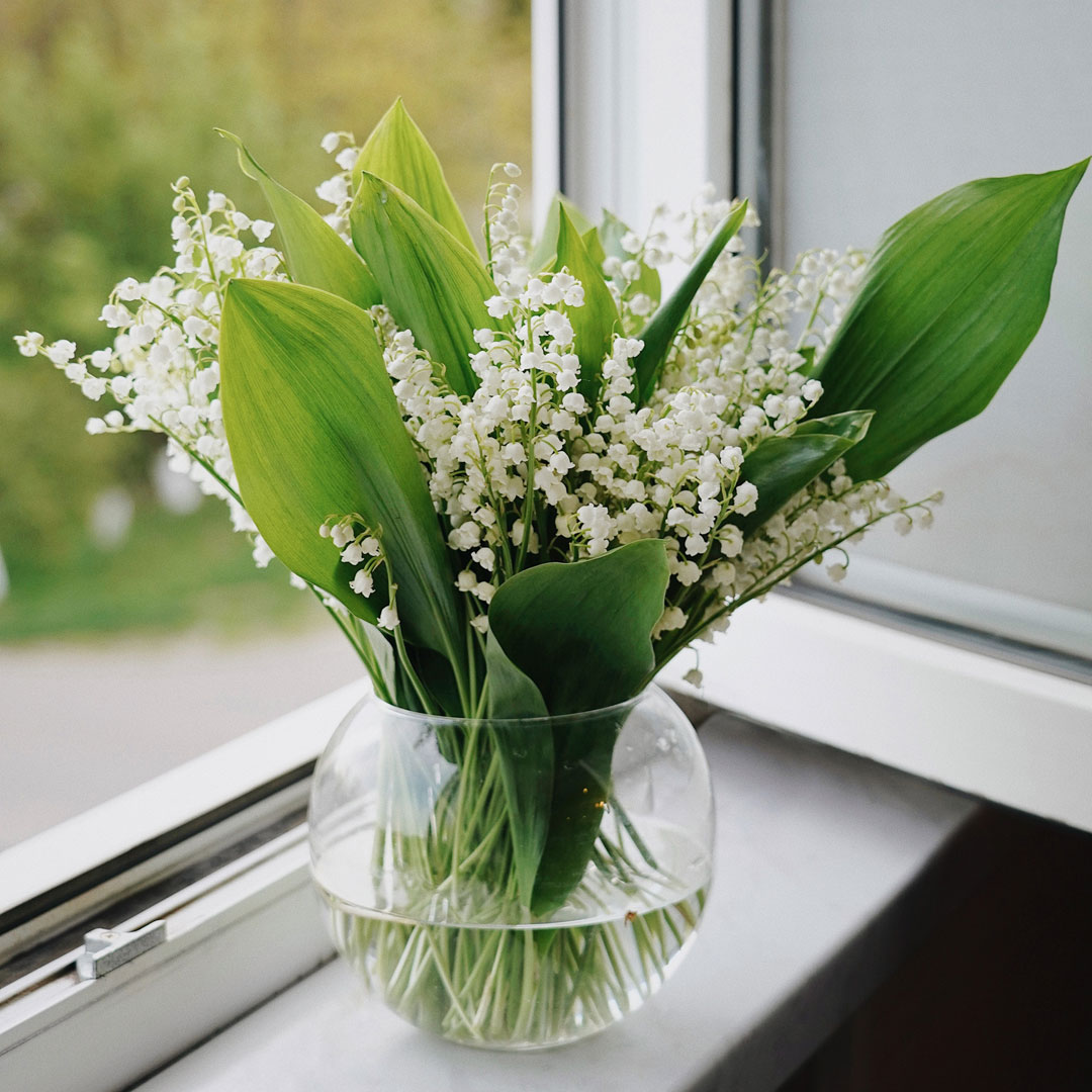 Lily-of-the-Valley-May-Birth-Flower