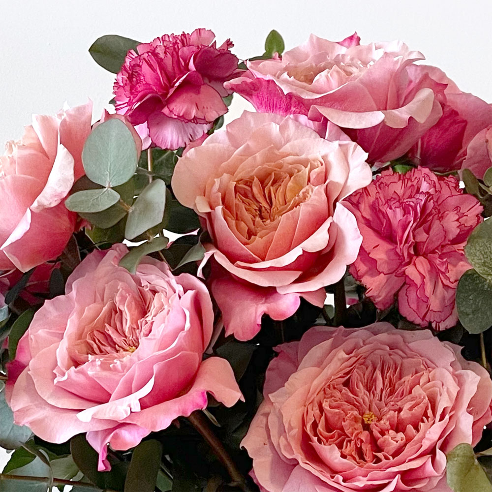 Rose, June Birth Flower