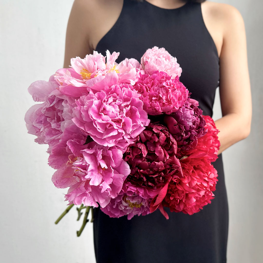 Ombre-Peonies-Lifestyle-V2