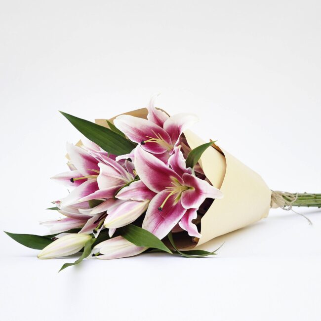 Pink Lilies