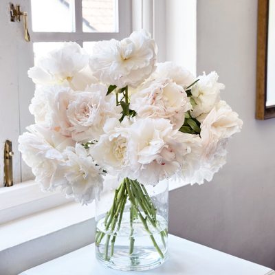 White Peony Single Variety Market Style